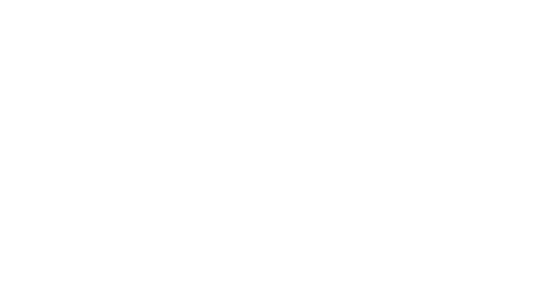 atelier cirque art du cirque journée cirque circus link lien de cirque